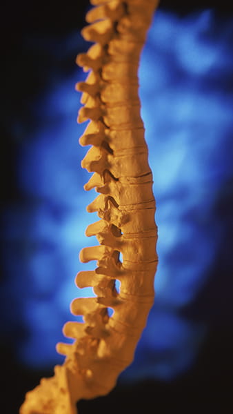 Spine surgery services including disc replacement, cervical arthroplasty, and fusion